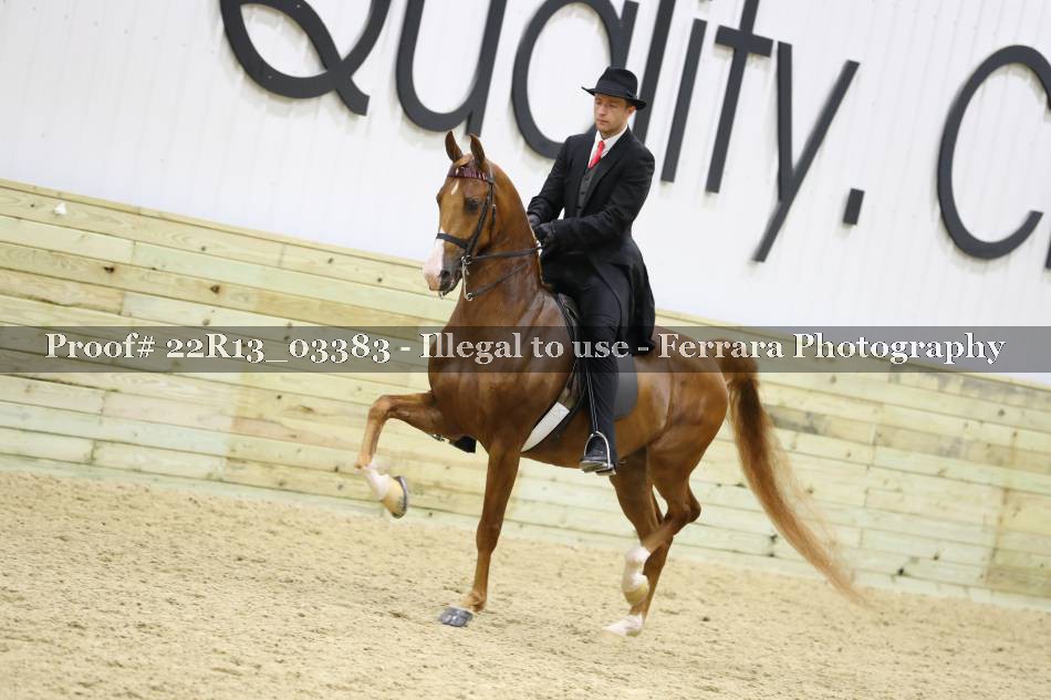 Proof 22R13_03383