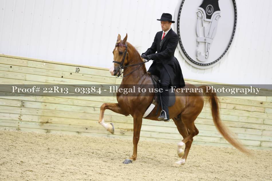 Proof 22R13_03384