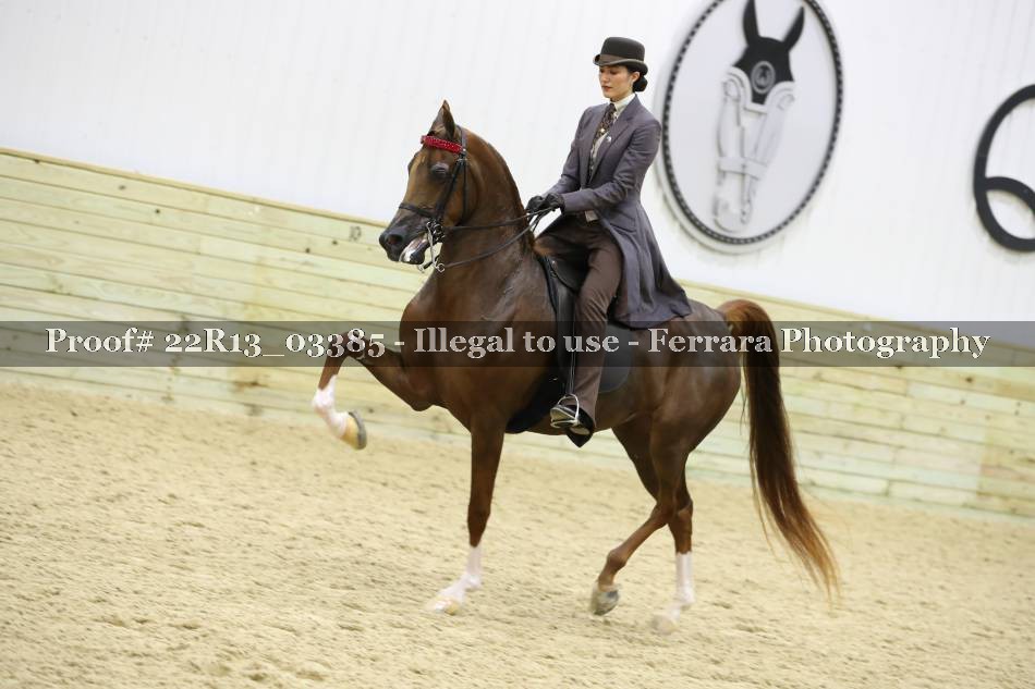 Proof 22R13_03385