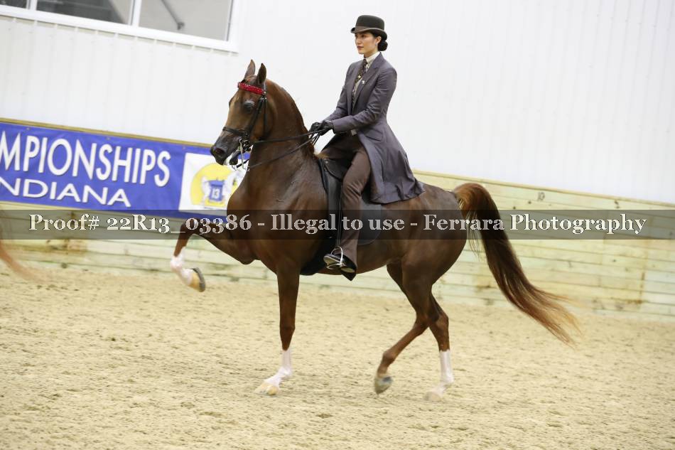 Proof 22R13_03386