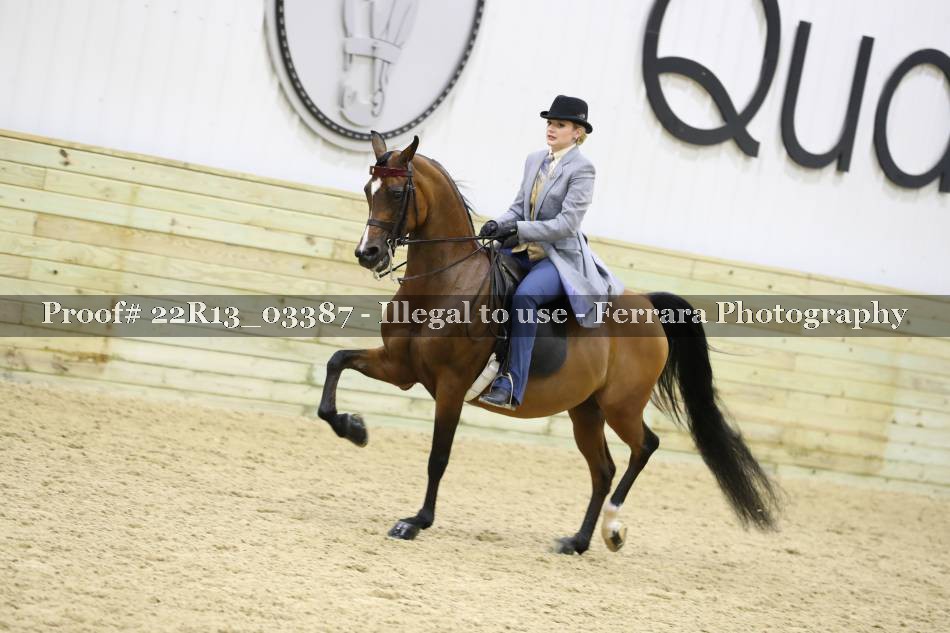 Proof 22R13_03387