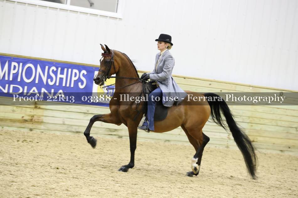 Proof 22R13_03388