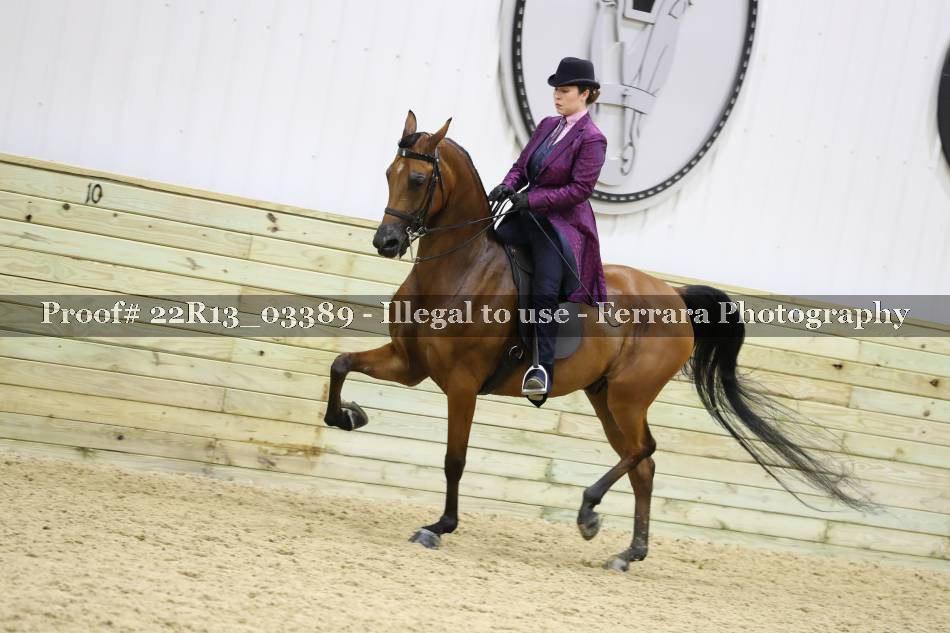 Proof 22R13_03389