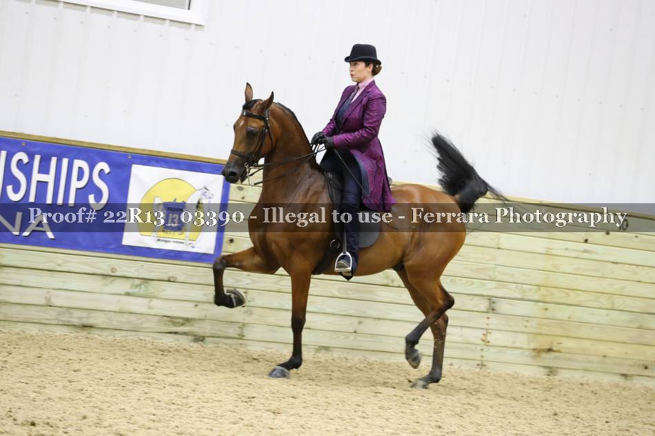 Proof 22R13_03390