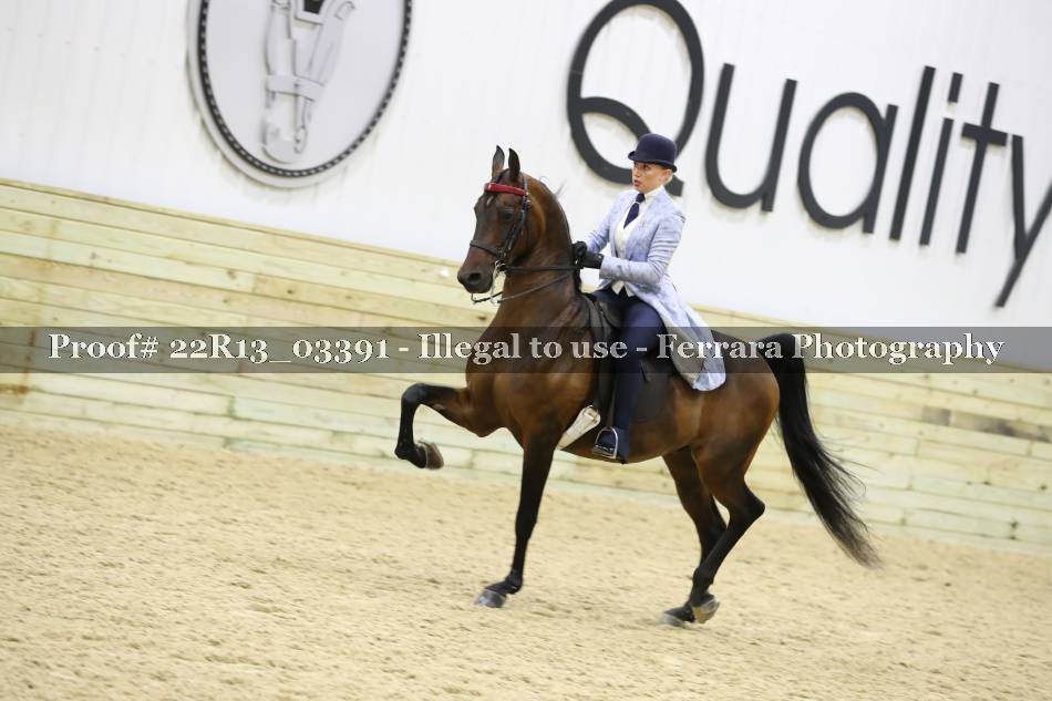 Proof 22R13_03391