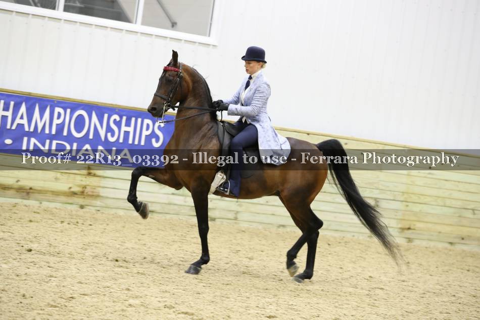 Proof 22R13_03392