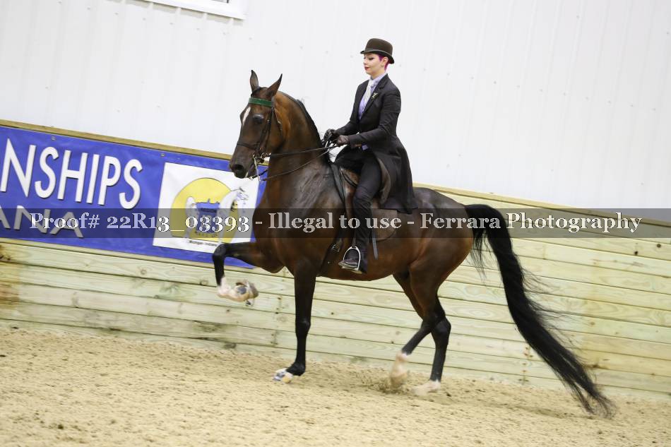 Proof 22R13_03393