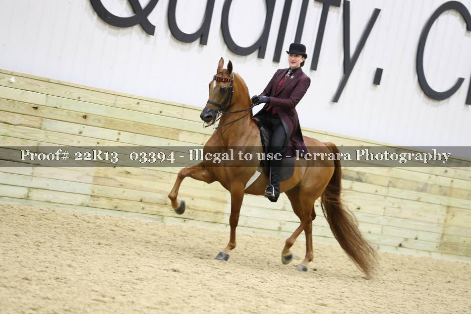 Proof 22R13_03394