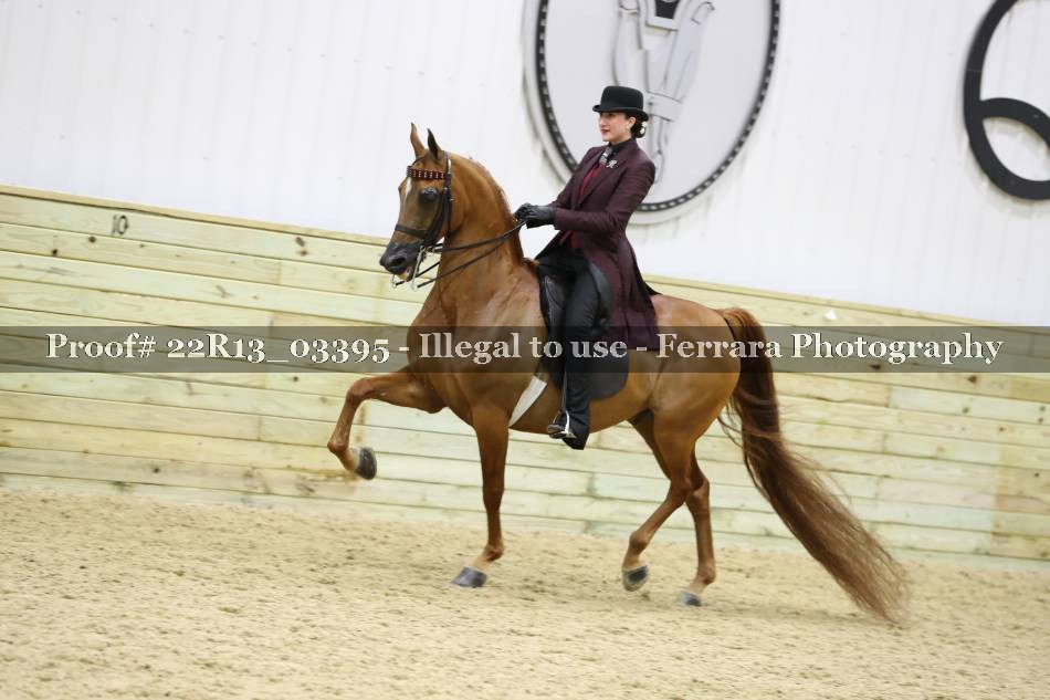 Proof 22R13_03395