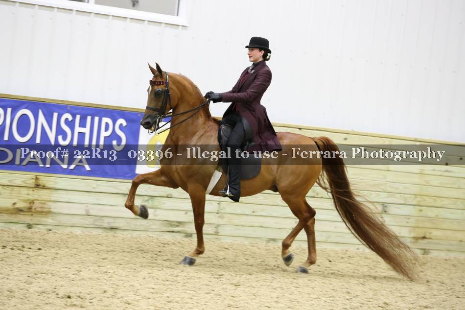 Proof 22R13_03396