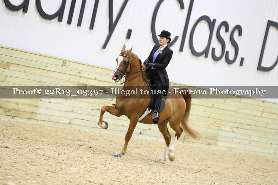 Proof 22R13_03397