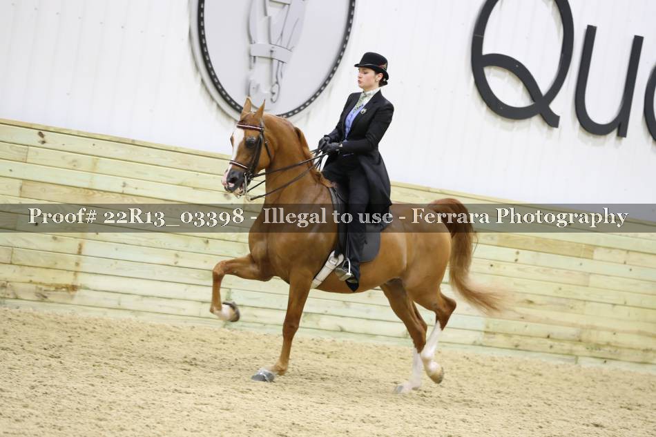 Proof 22R13_03398