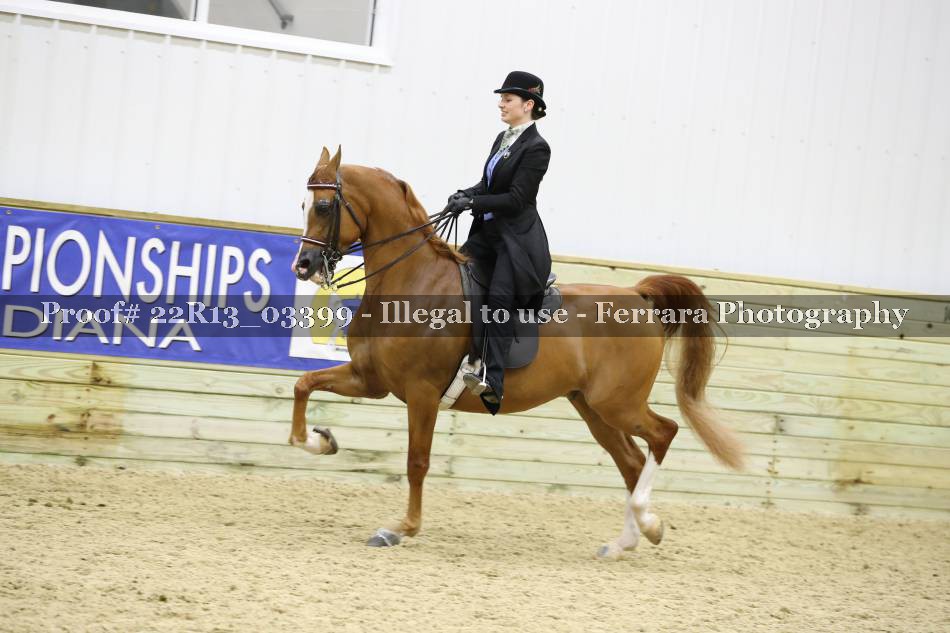 Proof 22R13_03399