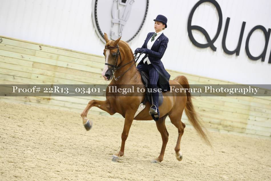 Proof 22R13_03401
