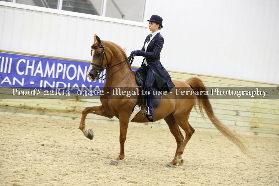 Proof 22R13_03402