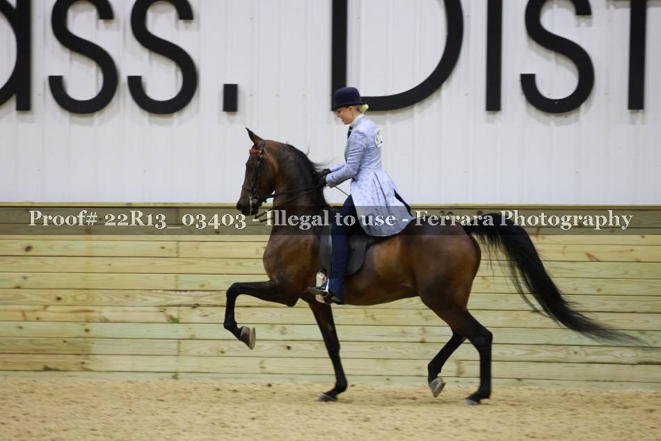 Proof 22R13_03403