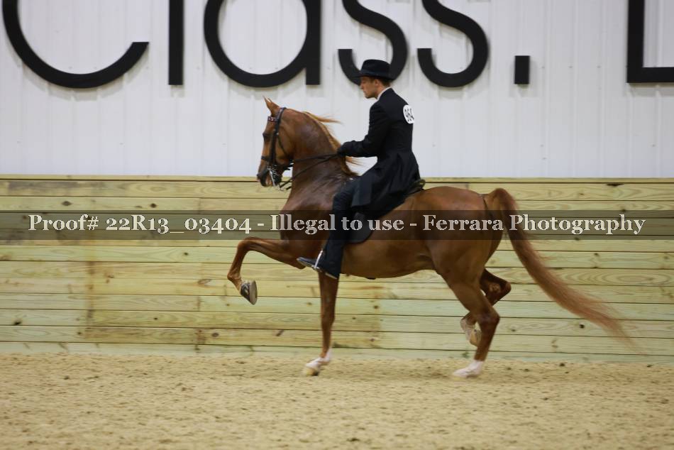Proof 22R13_03404