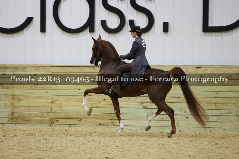 Proof 22R13_03405