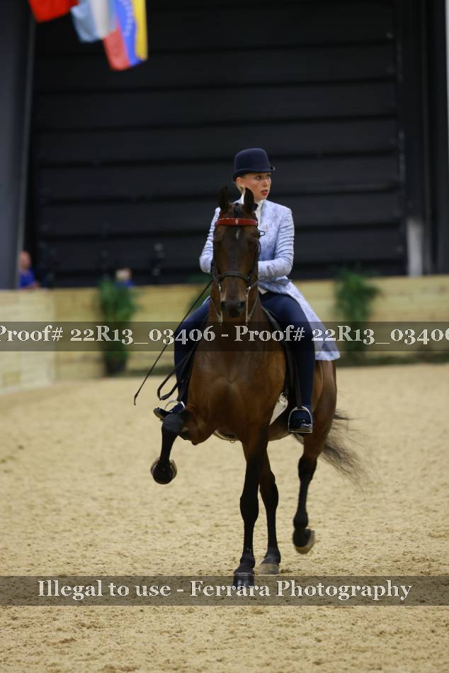 Proof 22R13_03406