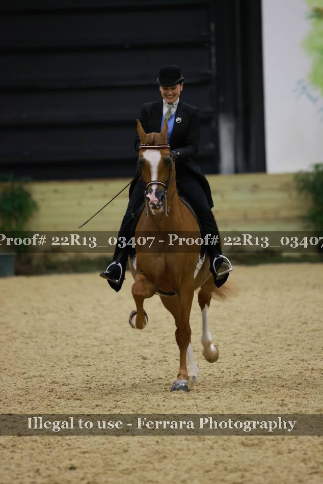 Proof 22R13_03407