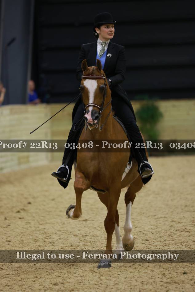 Proof 22R13_03408
