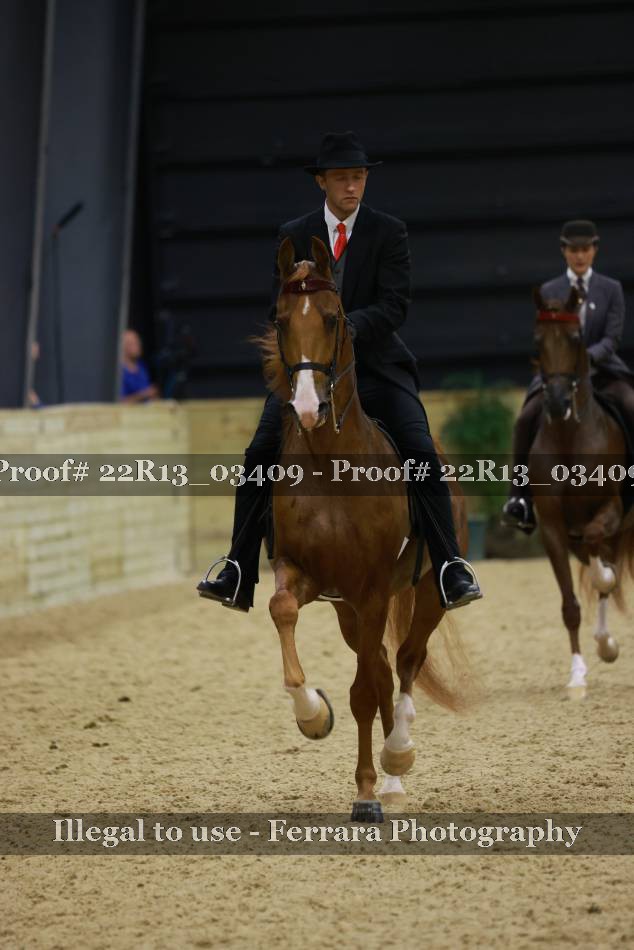 Proof 22R13_03409