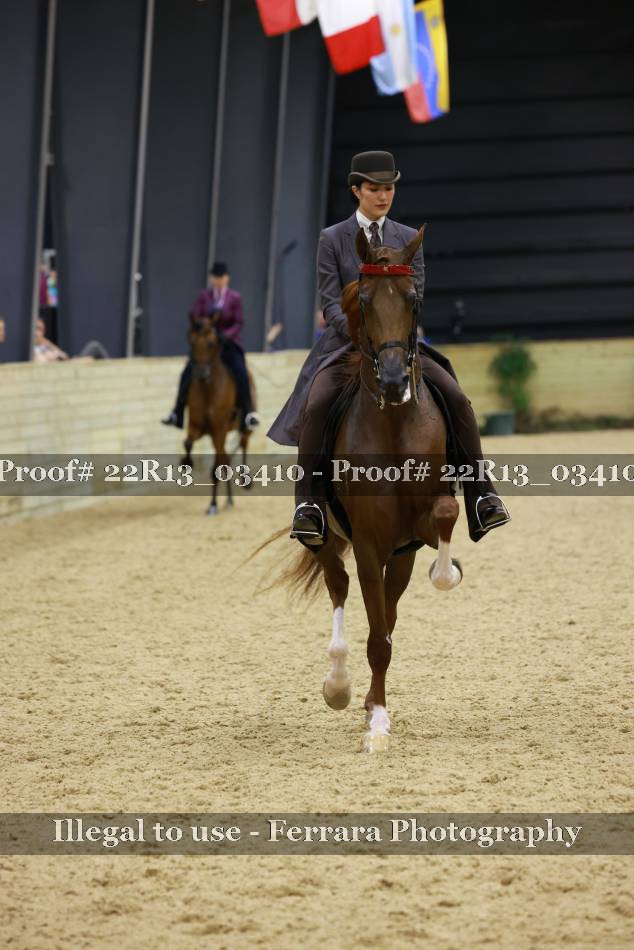 Proof 22R13_03410