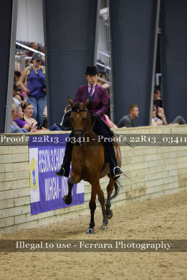 Proof 22R13_03411