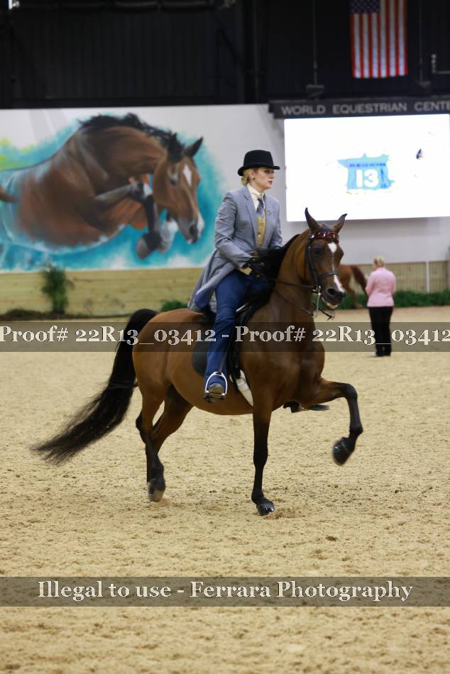 Proof 22R13_03412