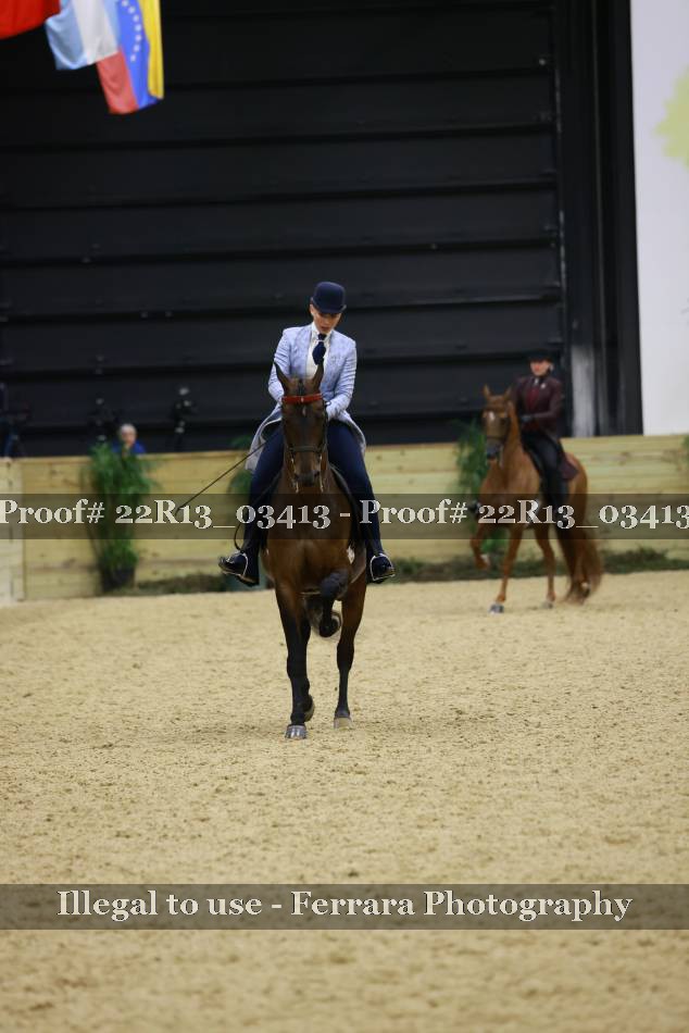 Proof 22R13_03413