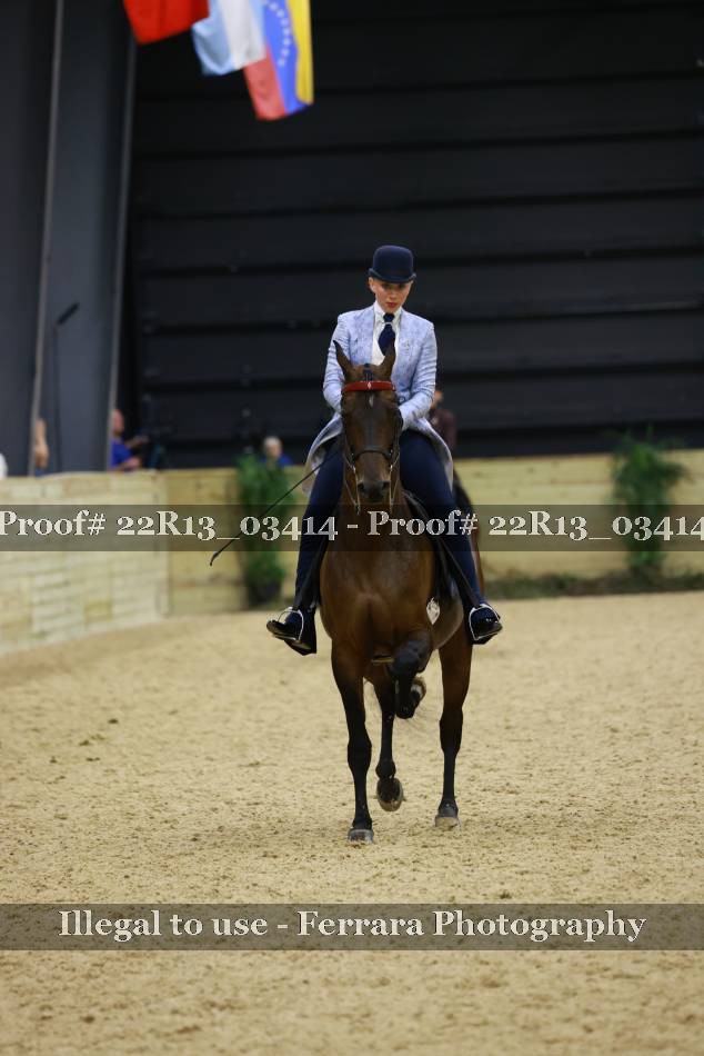 Proof 22R13_03414