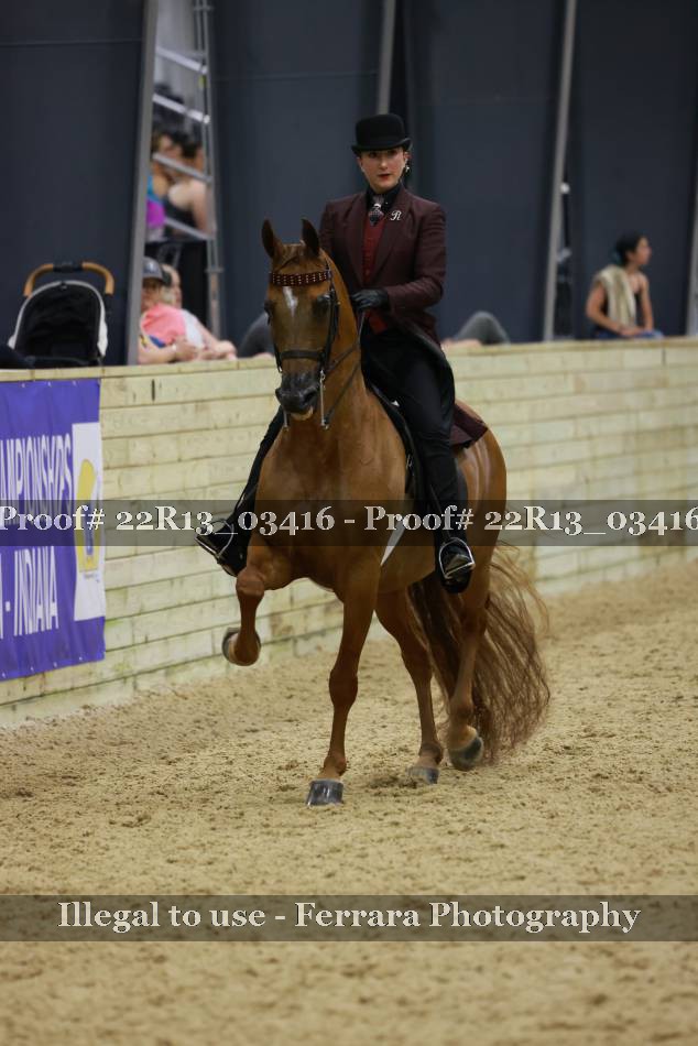 Proof 22R13_03416