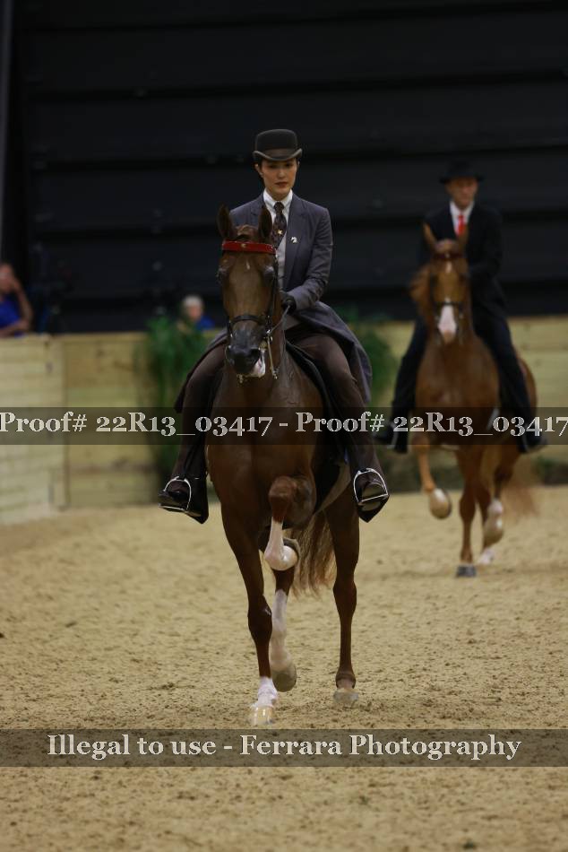 Proof 22R13_03417