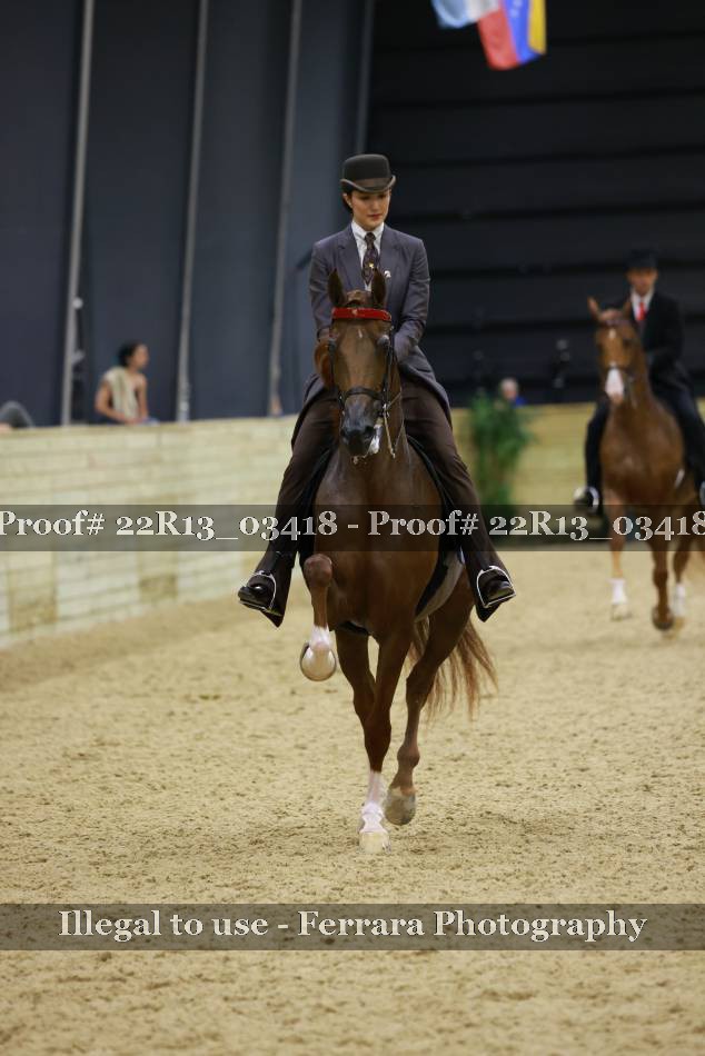 Proof 22R13_03418