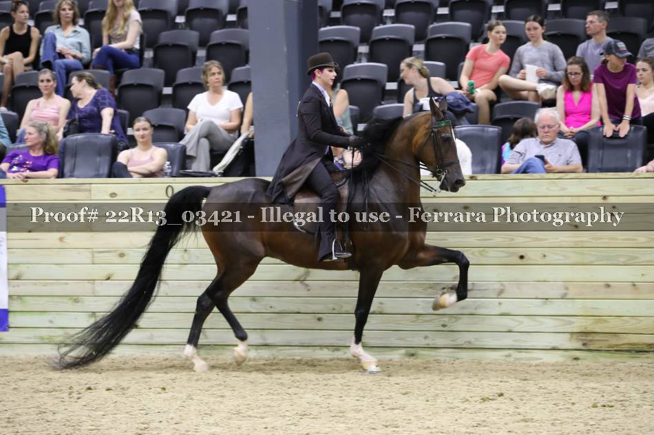 Proof 22R13_03421