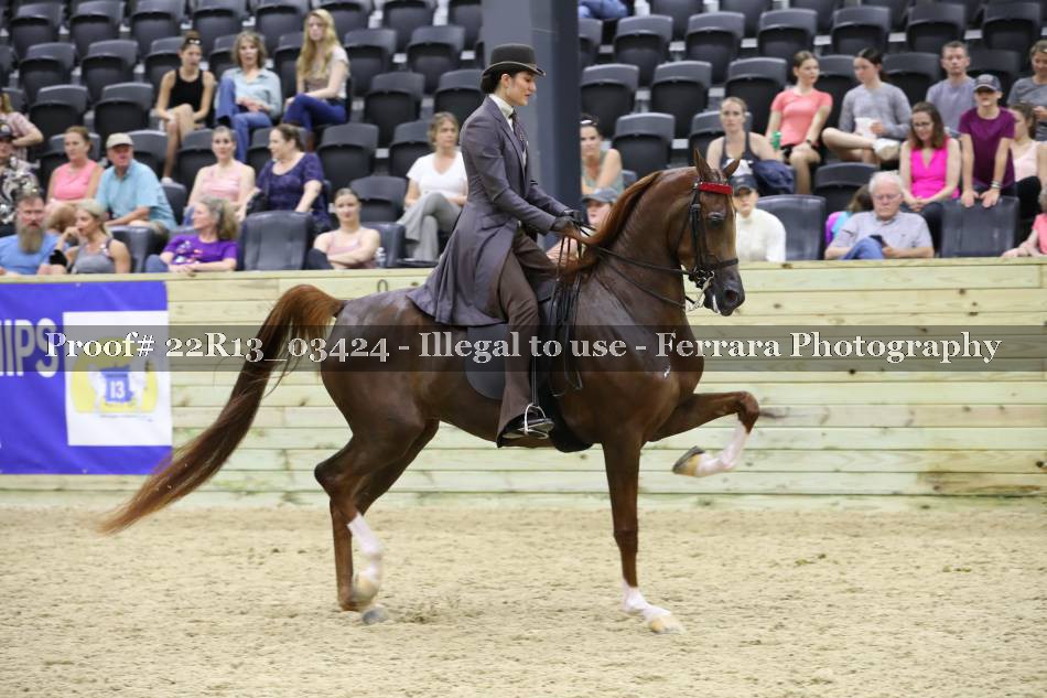 Proof 22R13_03424