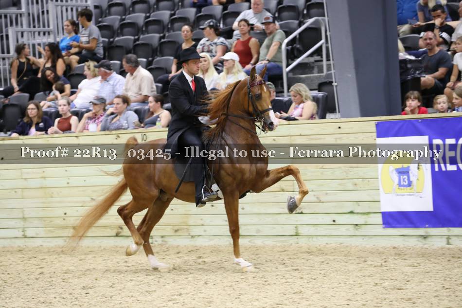 Proof 22R13_03425