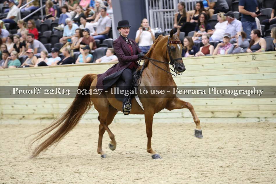 Proof 22R13_03427