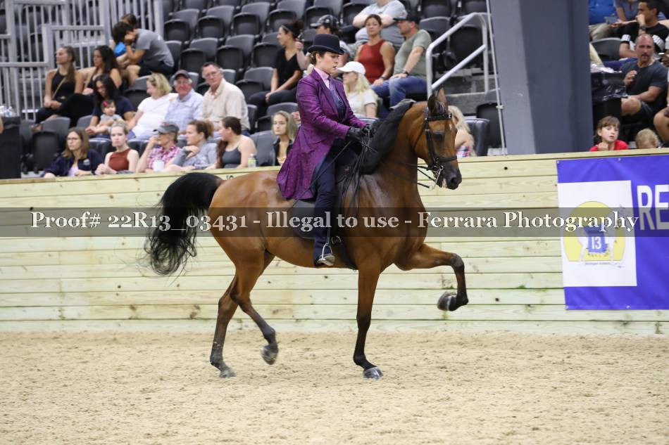 Proof 22R13_03431