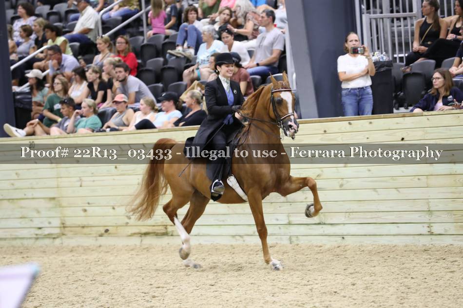Proof 22R13_03433
