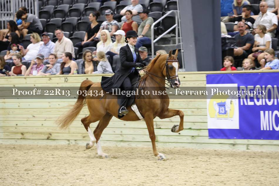 Proof 22R13_03434