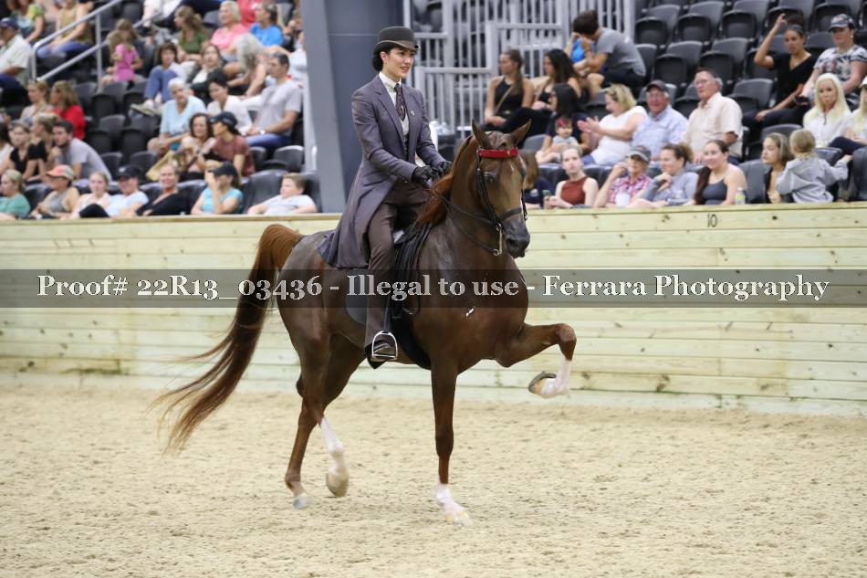 Proof 22R13_03436