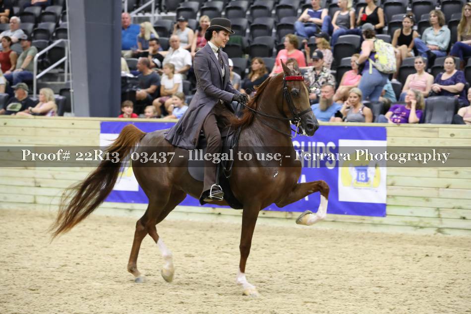 Proof 22R13_03437