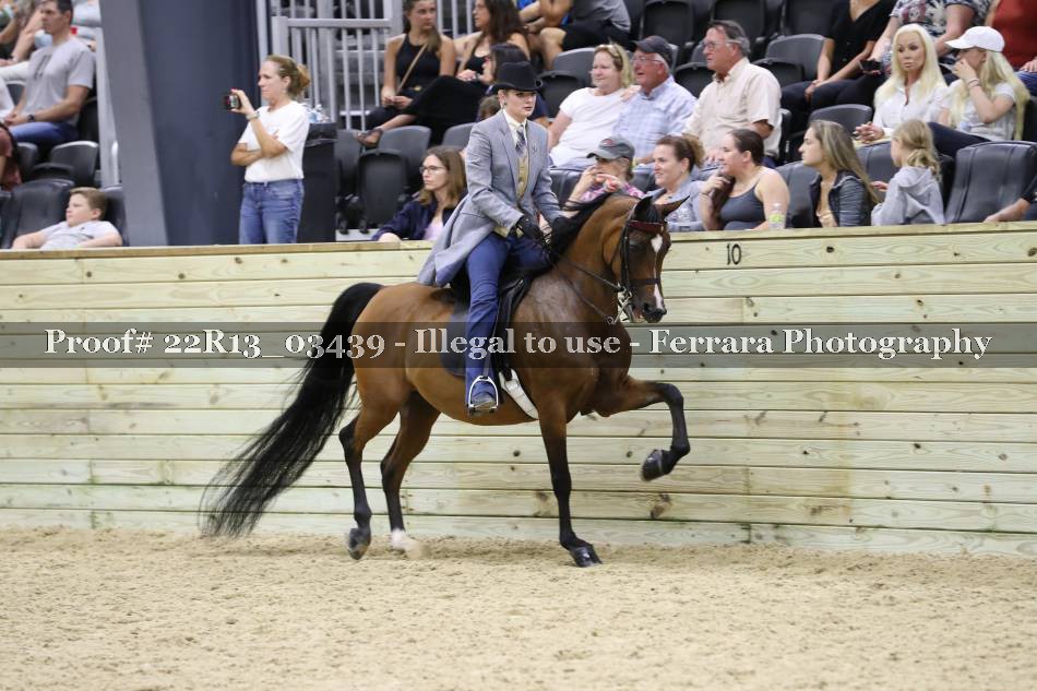 Proof 22R13_03439
