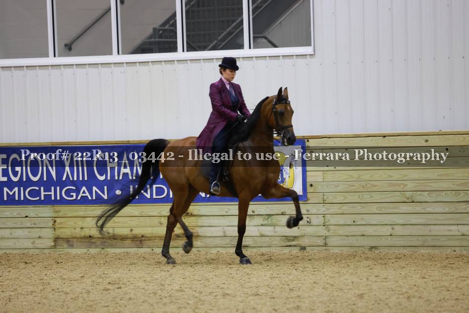 Proof 22R13_03442