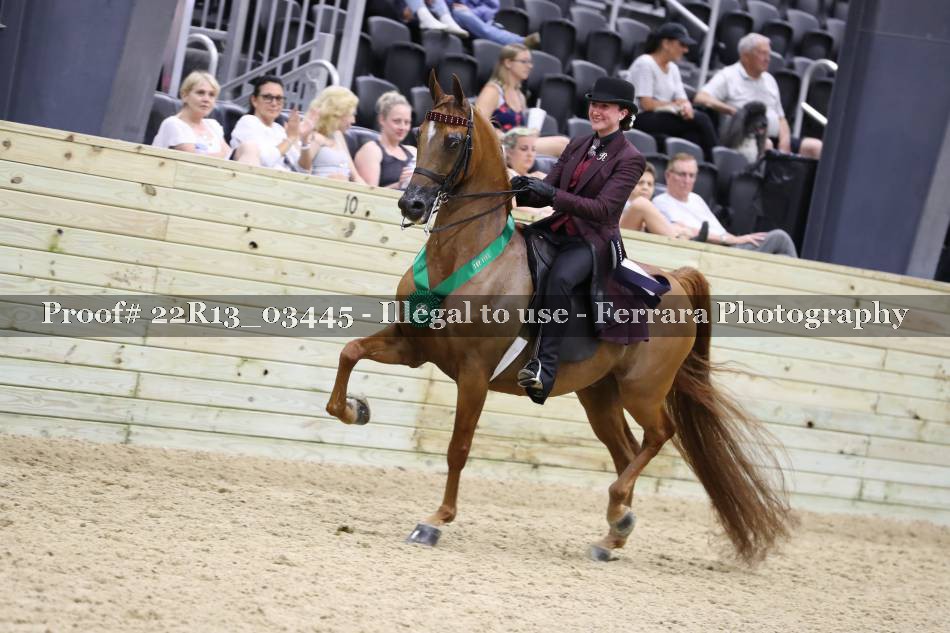 Proof 22R13_03445