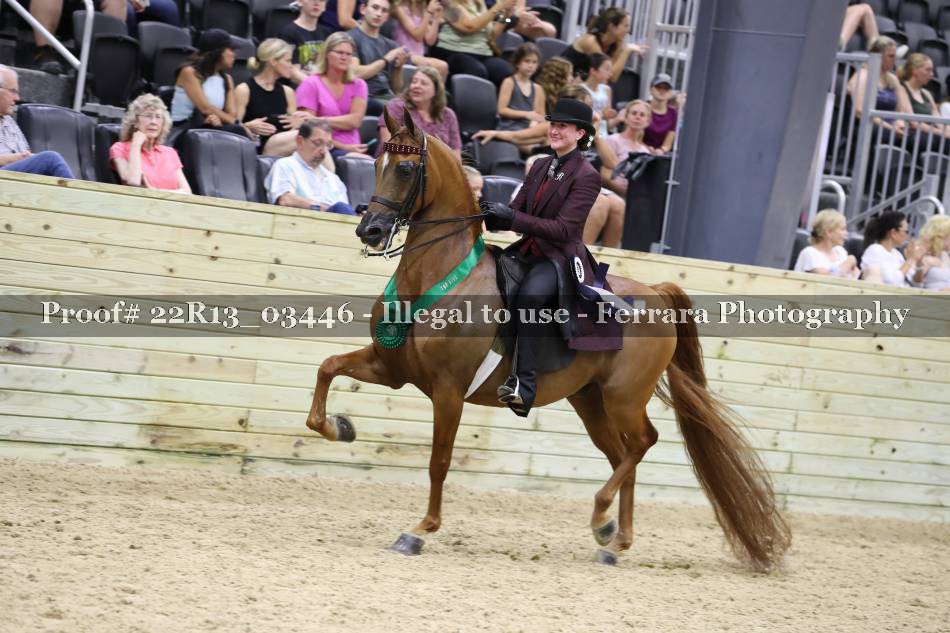 Proof 22R13_03446