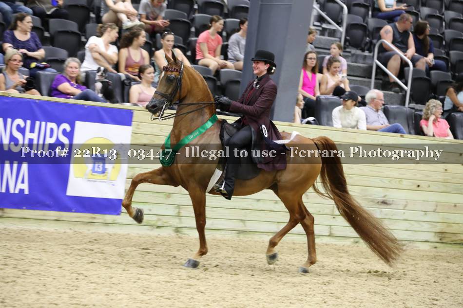 Proof 22R13_03447