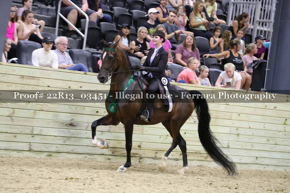 Proof 22R13_03451