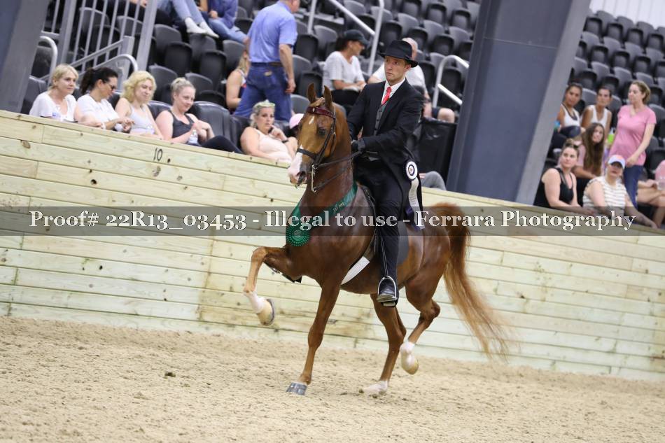 Proof 22R13_03453